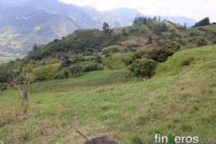 Mana - Finca en Choachí, Cundinamarca